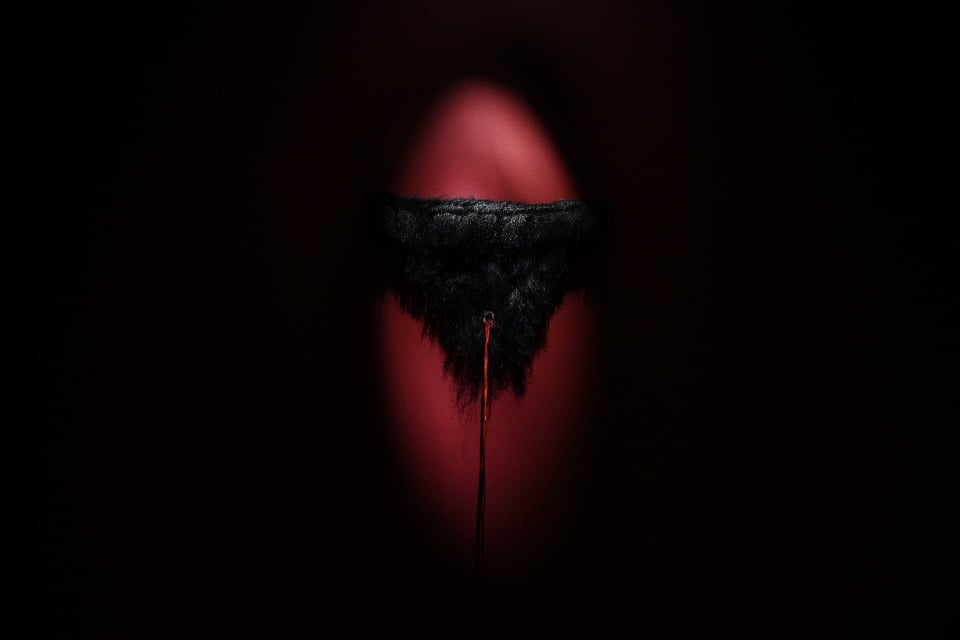 काठमाडौं ट्रिएनालेमा २२ वर्षअघिको त्यो पाठेघरको कोठा